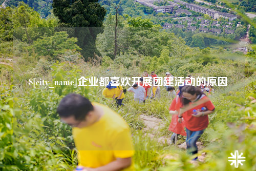 济宁企业都喜欢开展团建活动的原因